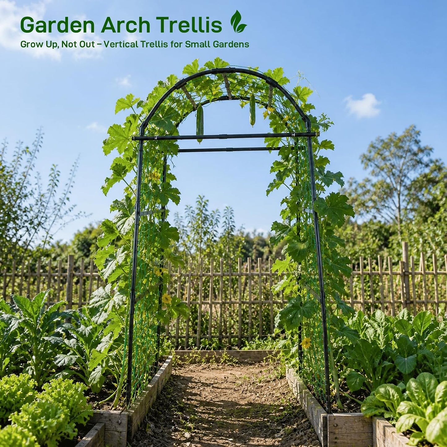 63x63 Cucumber Trellis for Raised Garden Bed, Black