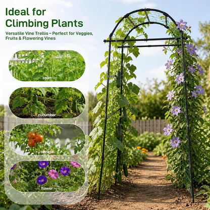 63x63 Cucumber Trellis for Raised Garden Bed, Black