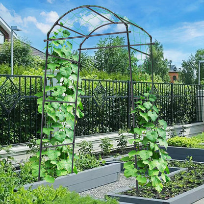 63x63 Cucumber Trellis for Raised Garden Bed, Black