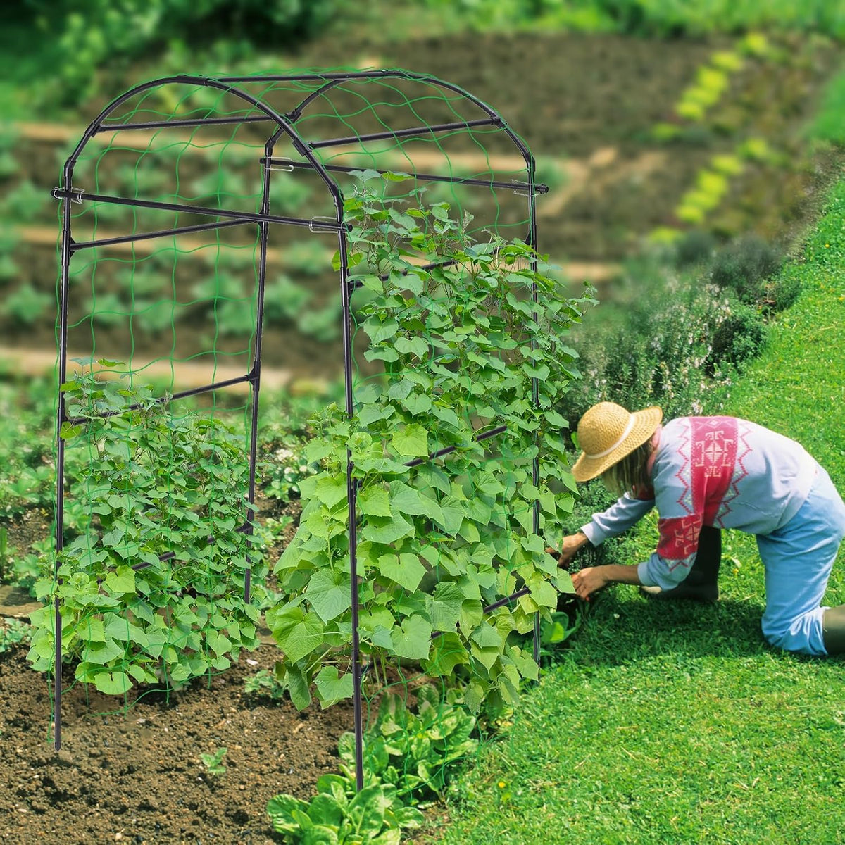 63x63 Cucumber Trellis for Raised Garden Bed, Black