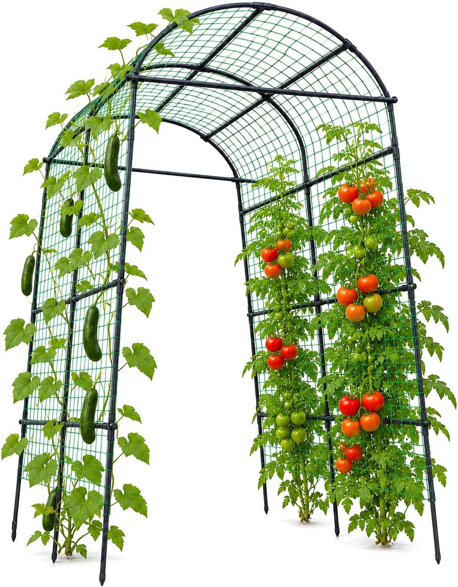 63x63 Cucumber Trellis for Raised Garden Bed, Black