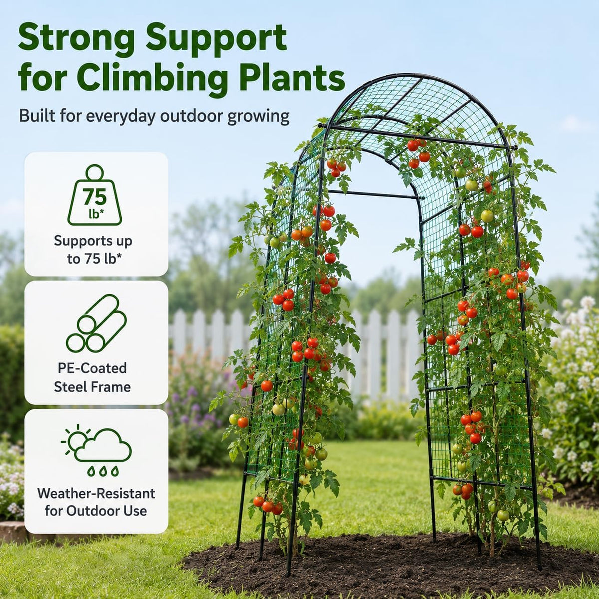 63x63 Cucumber Trellis for Raised Garden Bed, Black