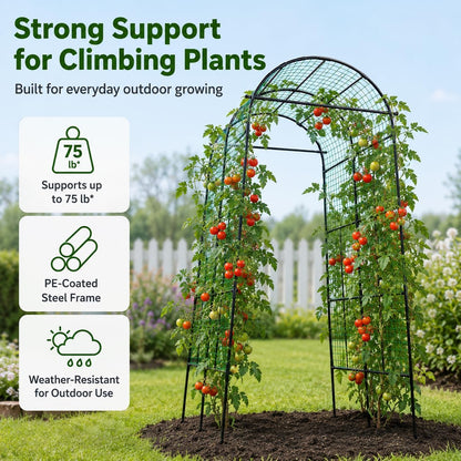 63x63 Cucumber Trellis for Raised Garden Bed, Black