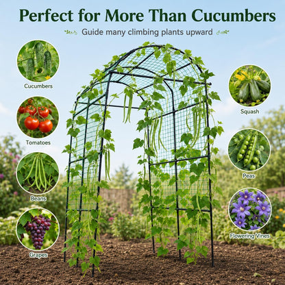 63x63 Cucumber Trellis for Raised Garden Bed, Black