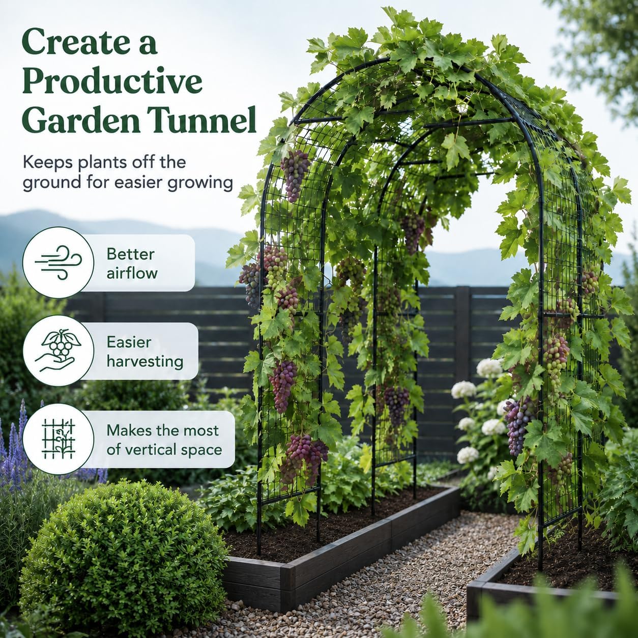 63x63 Cucumber Trellis for Raised Garden Bed, Black