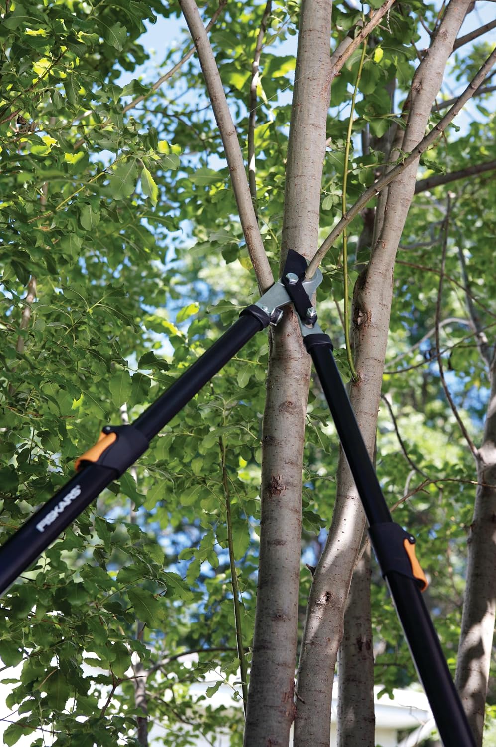 Solid Telescopic Bypass Loppers, 630-830mm, Classic, Standard Color