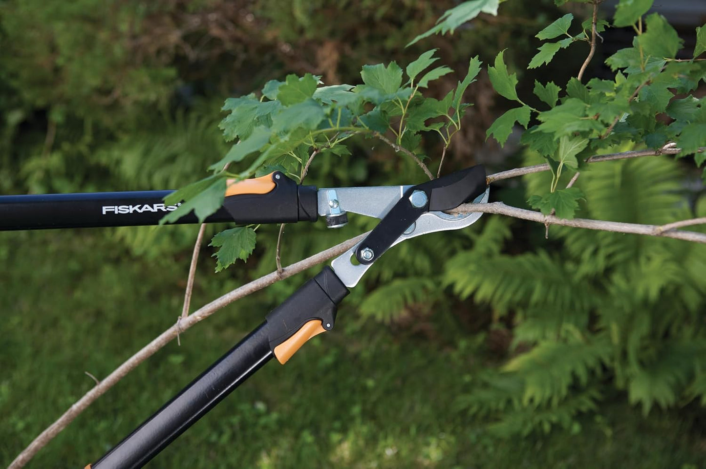 Solid Telescopic Bypass Loppers, 630-830mm, Classic, Standard Color