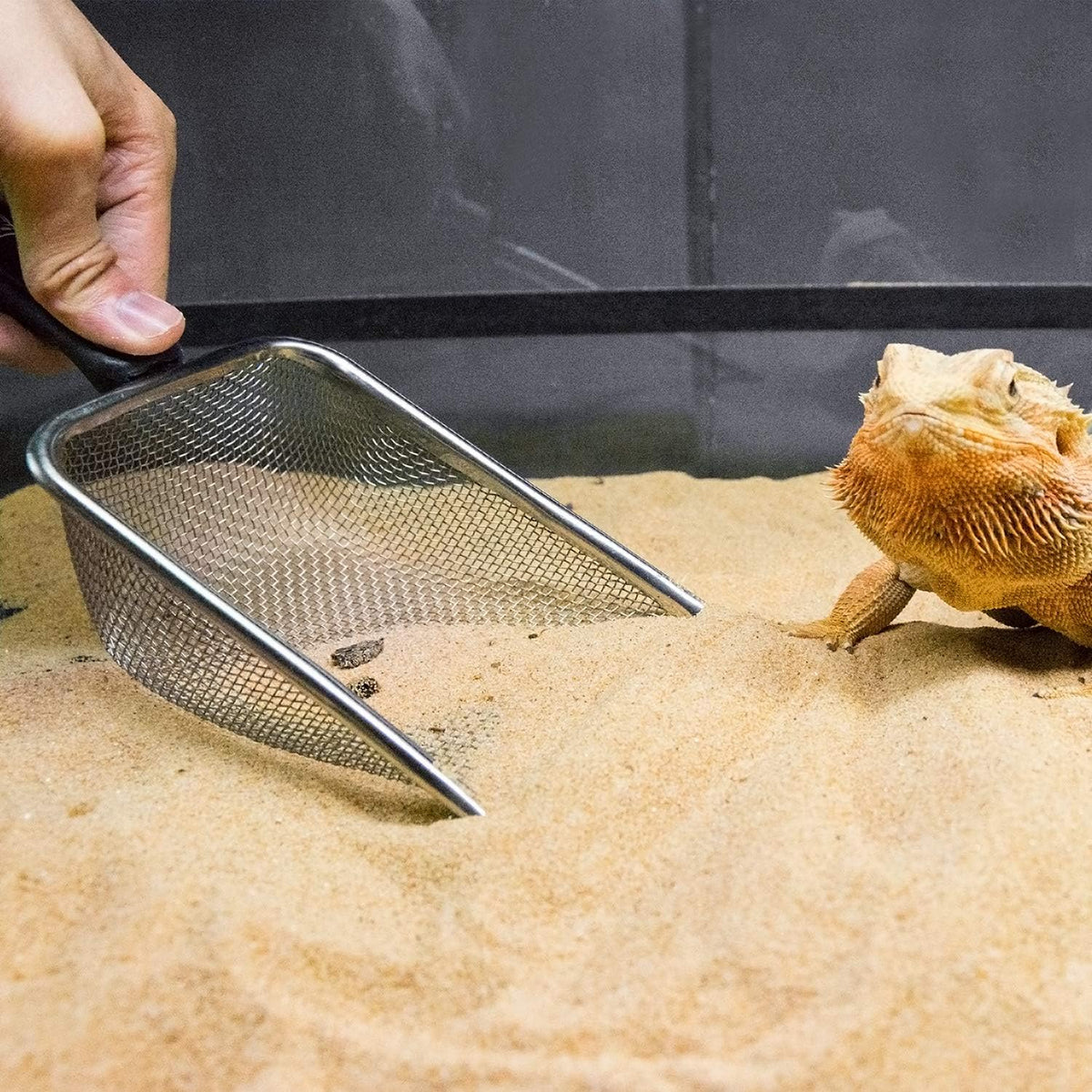 Reptile Sand Stainless Steel Fine Mesh Reptile Substrate Metal Sand Shovel Terrarium Substrate Long-Lasting Litter Cleaner Corner Scoop