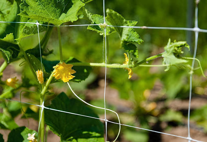 Trellis Netting, Netting, Scrog Net, Trellis Net, 5ft x 4920ft Roll, for Climbing Plants, Cut Flower Support, Garden, Grow Pea, Bean, Grape Vine, Mesh, Heavy Duty, 6x6 Inch Squares