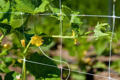 Trellis Netting, Netting, Scrog Net, Trellis Net, 5ft x 4920ft Roll, for Climbing Plants, Cut Flower Support, Garden, Grow Pea, Bean, Grape Vine, Mesh, Heavy Duty, 6x6 Inch Squares