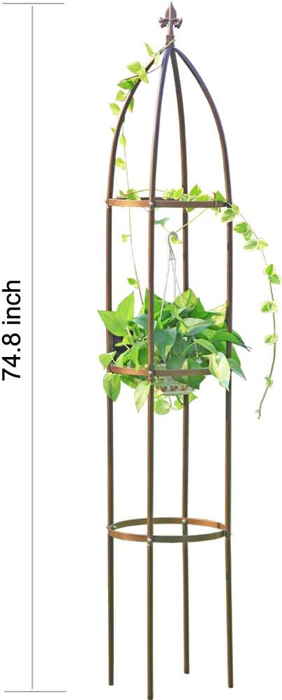 100% Metal Garden Obelisk Trellis Heavy Duty 6.3 ft Tall for Climbing Vines