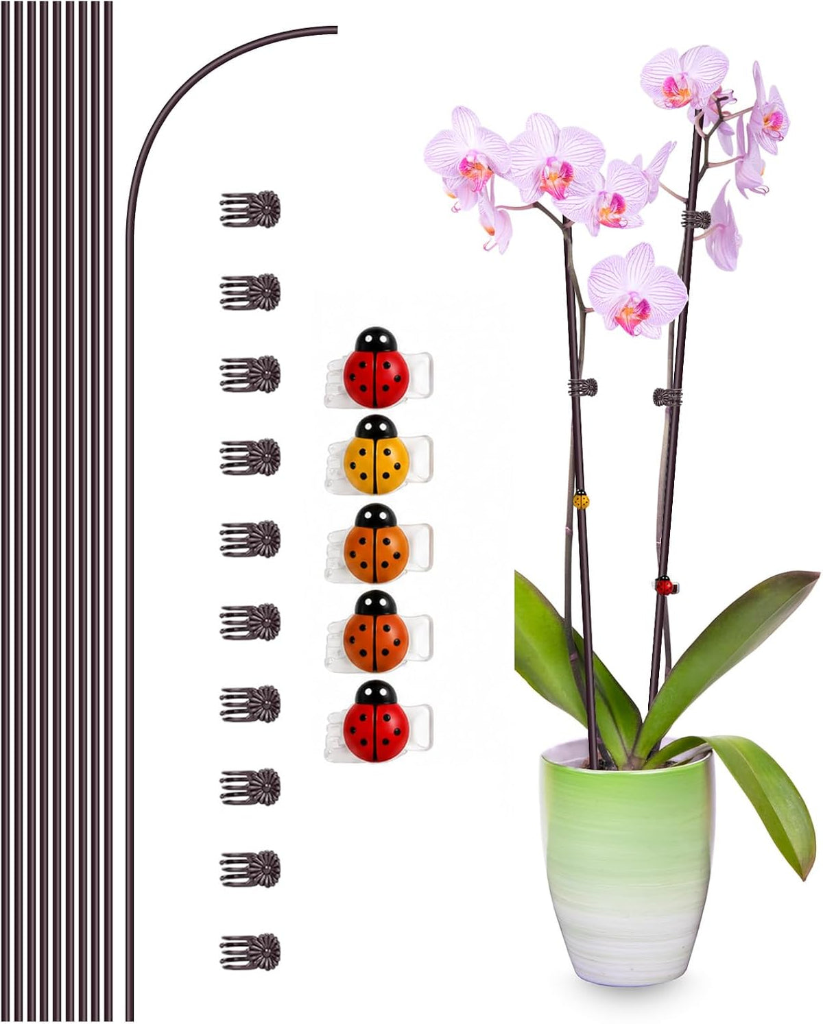 10Pcs Plant Support Stakes, Brown, with Ladybug Clips