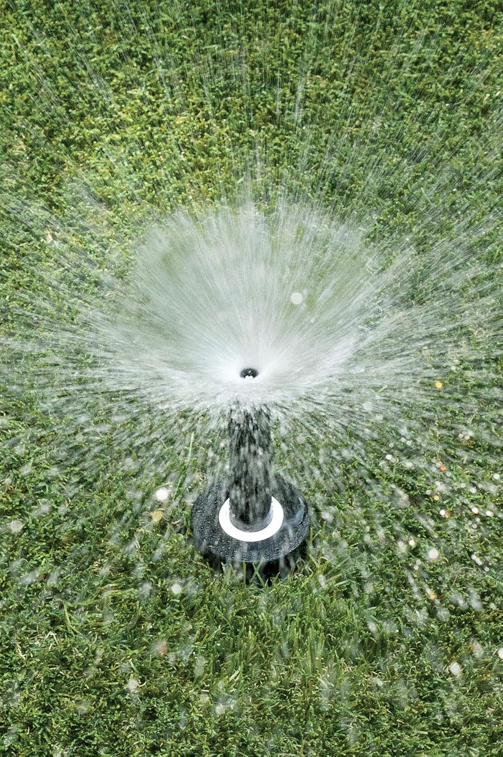 1804VAN Professional Pop-Up Sprinkler, Full Circle, 8-15 Feet, 4"