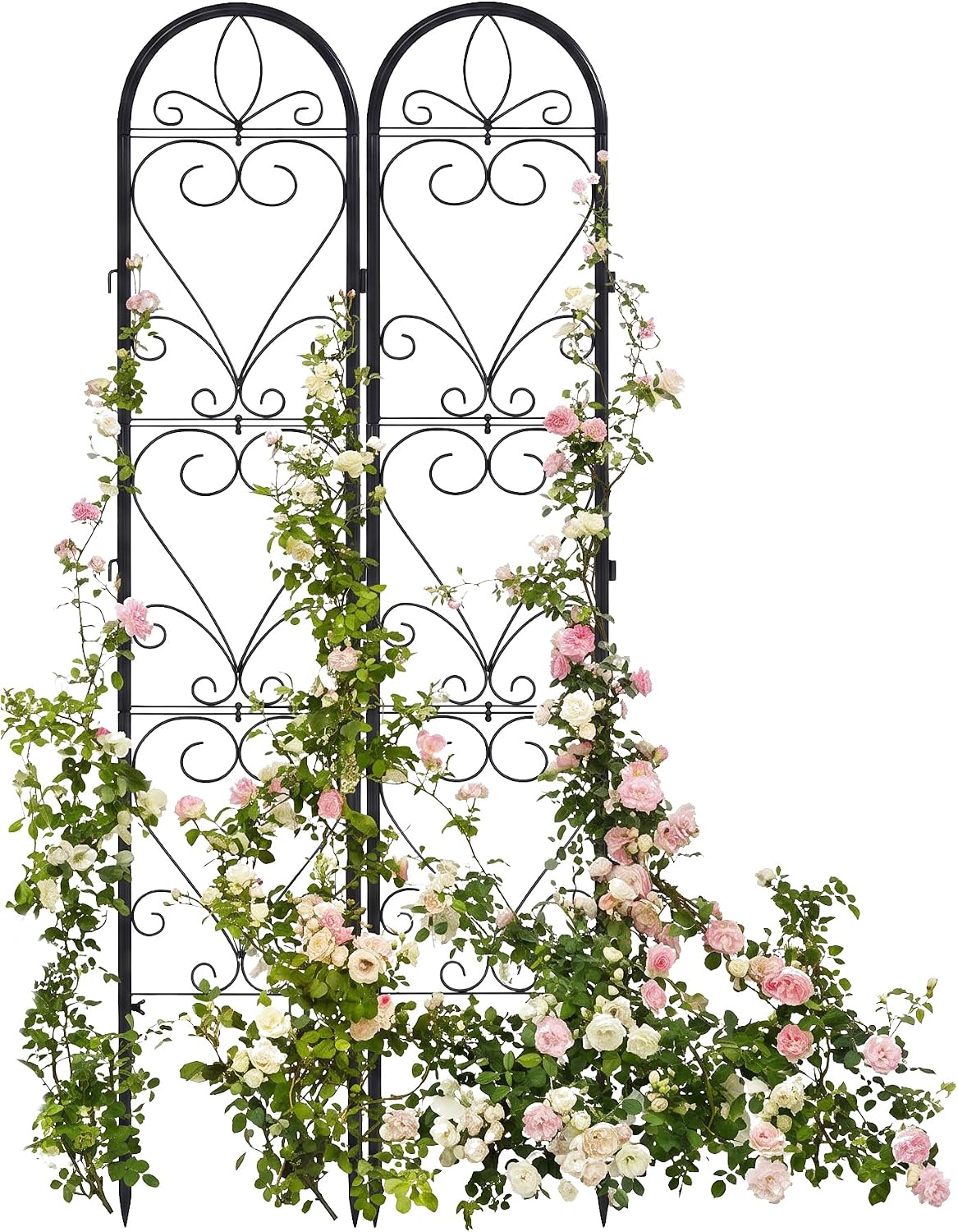 2 Pack Q195 Metal Garden Trellis for Climbing Plants, 66 x 13 in