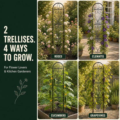2 Pack Q195 Metal Garden Trellis for Climbing Plants, 66 x 13 in