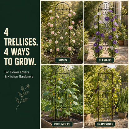 2 Pack Q195 Metal Garden Trellis for Climbing Plants, 66 x 13 in