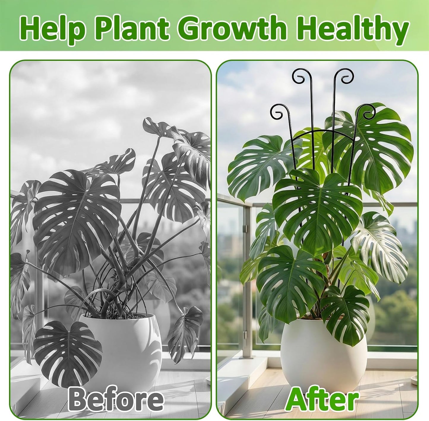 Monstera Plant Support - 32.6 Inch Tall Trellis with 2 Pack Plant Stakes for Your Large Climbing Monstera Deliciosa | Indoor Plant Climbing Frame for Potted Growth