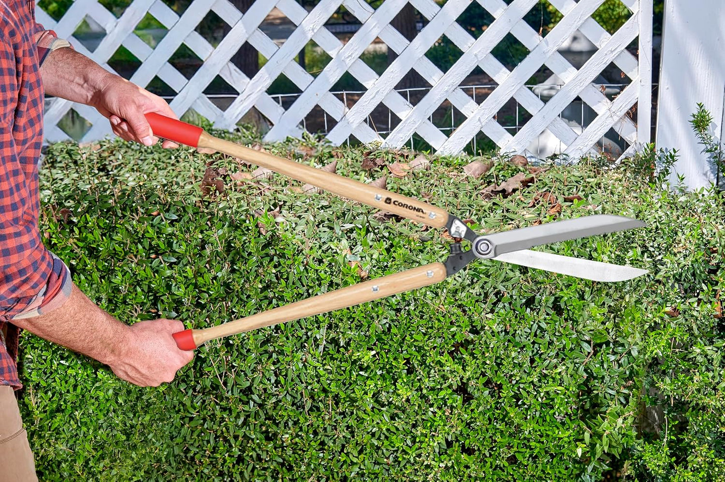 Corona HS 6930 Serrated Hedge Shear, 8-1/2-Inch Blade