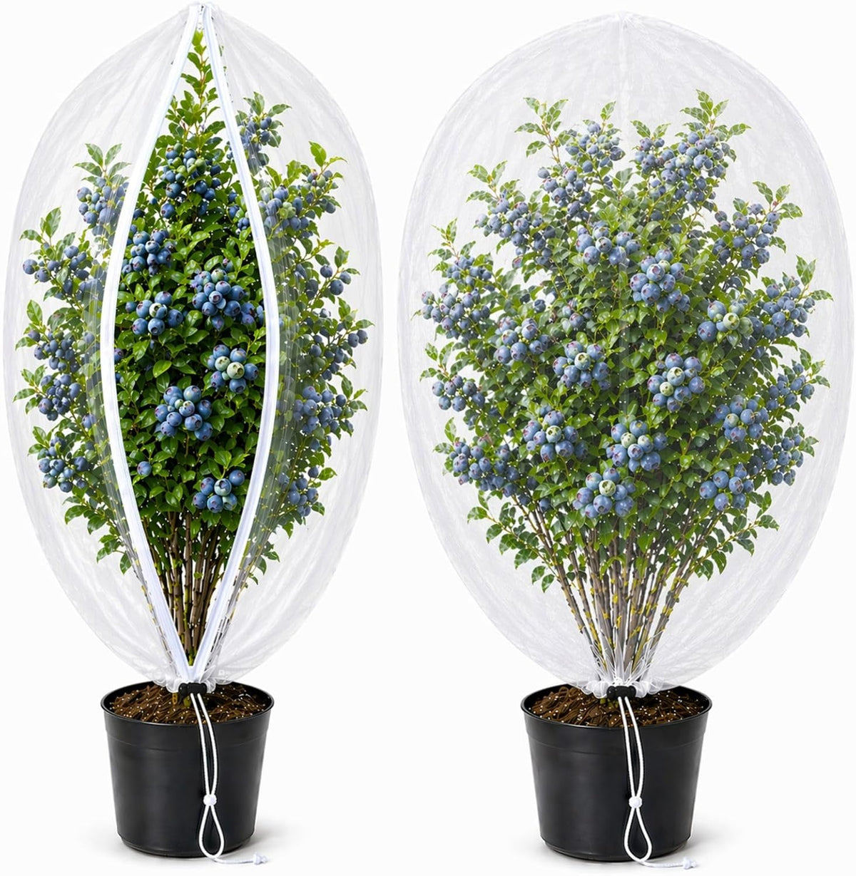 Fruit Tree Netting Cover with Zipper & Drawstring, 2 Packs 6ft x 6ft Insect Bird Barrier Netting for Garden Protection, Ultra Fine Mesh Garden Netting