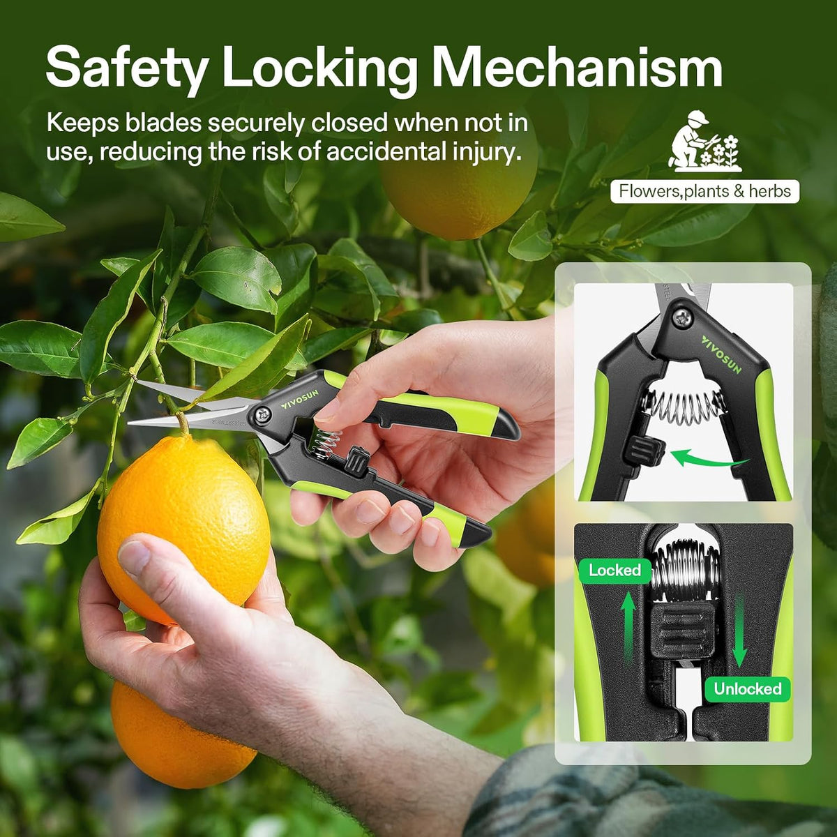 6.5 Inch Gardening Scissors Hand Pruner Pruning Shear with Straight Stainless Steel Blades Orange 1-Pack