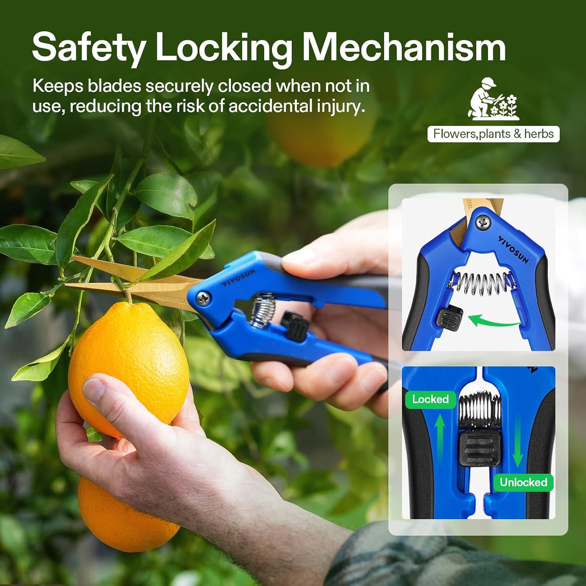 6.5 Inch Gardening Scissors Hand Pruner Pruning Shear with Straight Stainless Steel Blades Orange 1-Pack