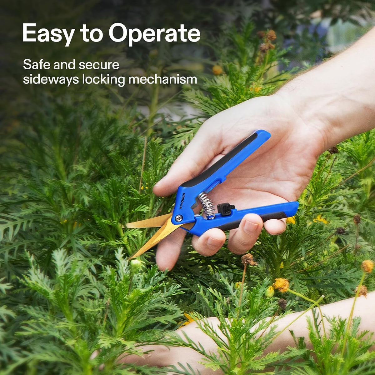 6.5 Inch Gardening Scissors Hand Pruner Pruning Shear with Straight Stainless Steel Blades Orange 1-Pack