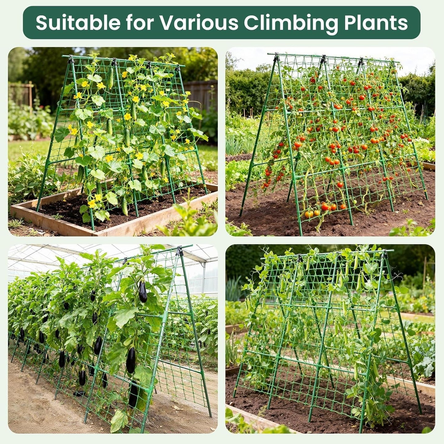 50" x 48"Cucumber Trellis for Raised Garden Bed, Green