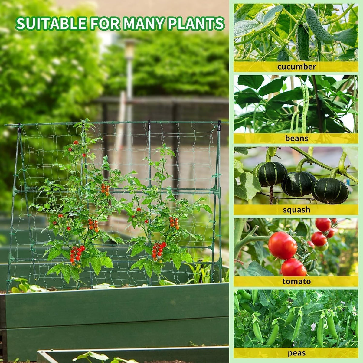 50" x 48"Cucumber Trellis for Raised Garden Bed, Green