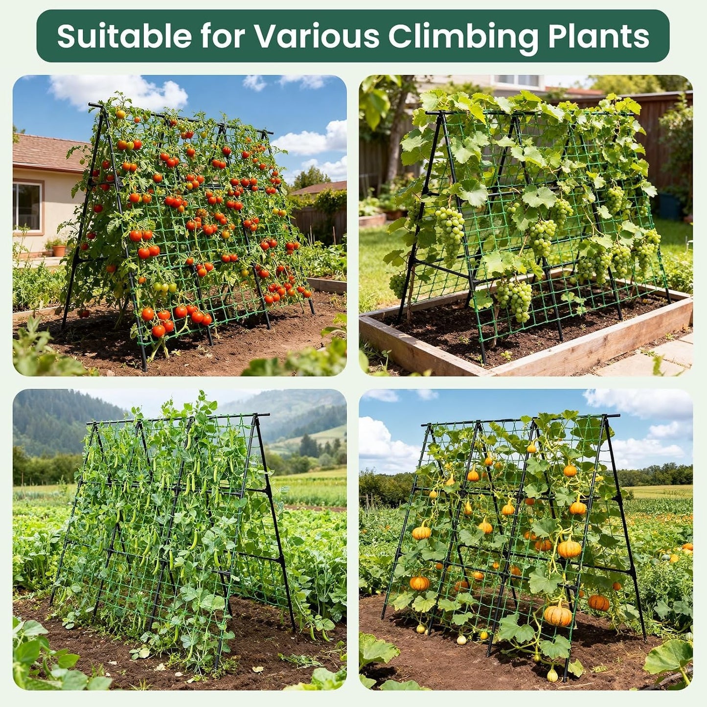 50" x 48"Cucumber Trellis for Raised Garden Bed, Green
