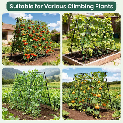 50" x 48"Cucumber Trellis for Raised Garden Bed, Green