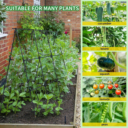 50" x 48"Cucumber Trellis for Raised Garden Bed, Green