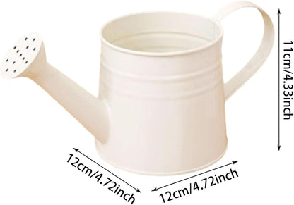 Metal Long Spout Watering Can with Ergonomic Handle, Balanced Design for Easy Pouring, 1L for Watering Indoor Houseplants, Outdoor Flowers, Garden Beds and Lawn Areas (Pink)