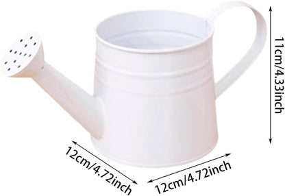 Metal Long Spout Watering Can with Ergonomic Handle, Balanced Design for Easy Pouring, 1L for Watering Indoor Houseplants, Outdoor Flowers, Garden Beds and Lawn Areas (Pink)