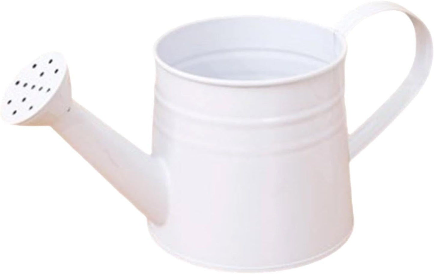 Metal Long Spout Watering Can with Ergonomic Handle, Balanced Design for Easy Pouring, 1L for Watering Indoor Houseplants, Outdoor Flowers, Garden Beds and Lawn Areas (Pink)
