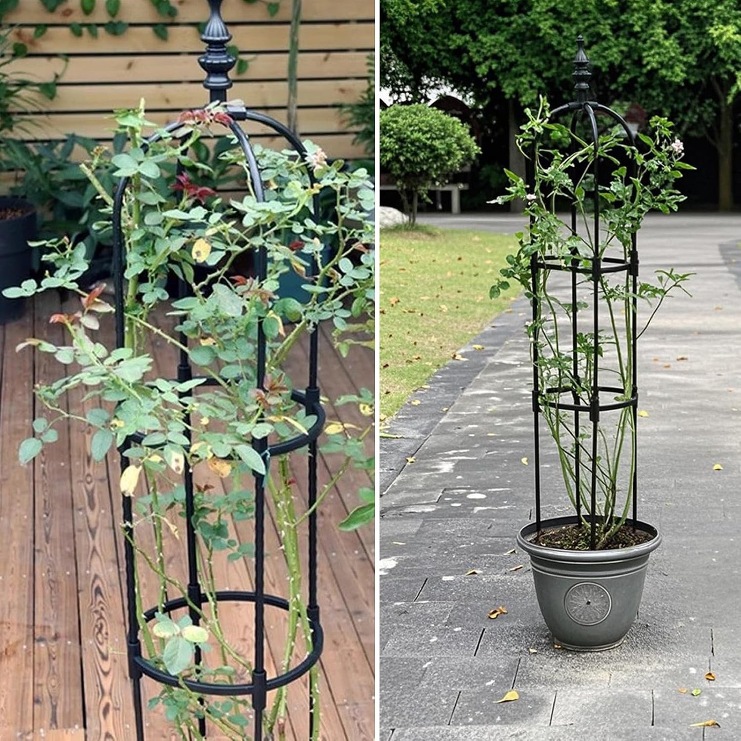 Trellis for Climbing Plants Outdoor 1Pcs Garden Obelisk 6Ft,Metal Pipe Tomato Cage Cucumber Rose Flower Vegetable Grape Round Vine Tall Plants Trellis,Plants Support Stakes Potted Garden Tower Indoor