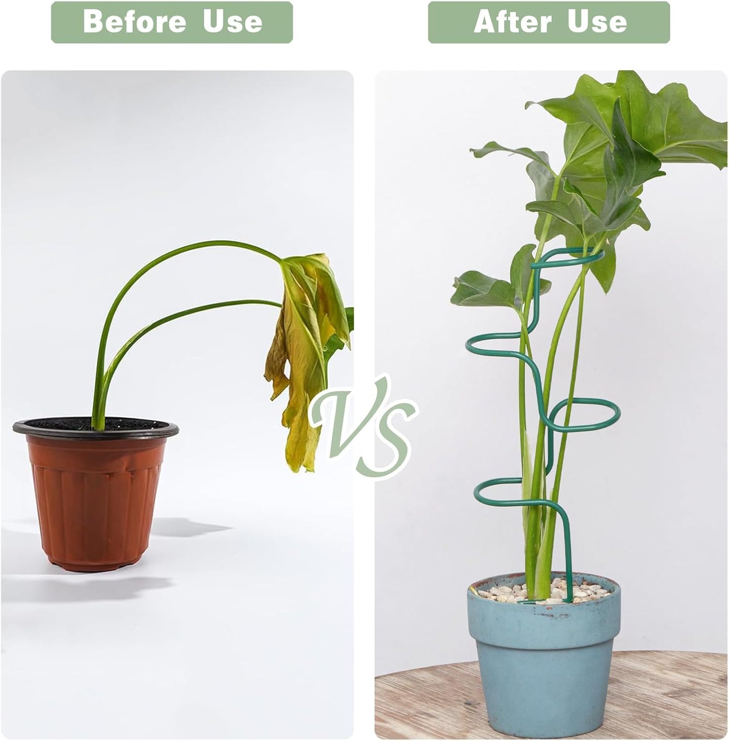 Plant Support Stakes - 3 Pack Durable Metal Trellis for Monstera