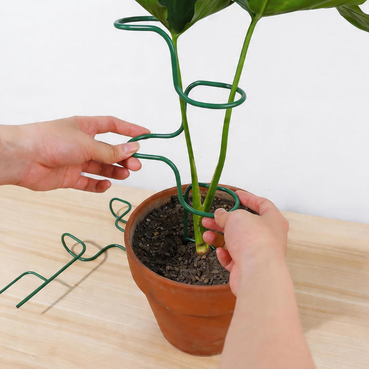 Plant Support Stakes - 3 Pack Durable Metal Trellis for Monstera