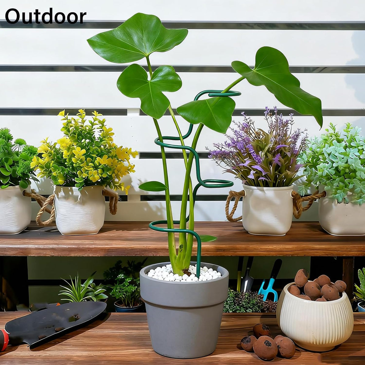 Plant Support Stakes - 3 Pack Durable Metal Trellis for Monstera