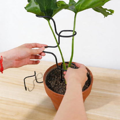 Plant Support Stakes - 3 Pack Durable Metal Trellis for Monstera