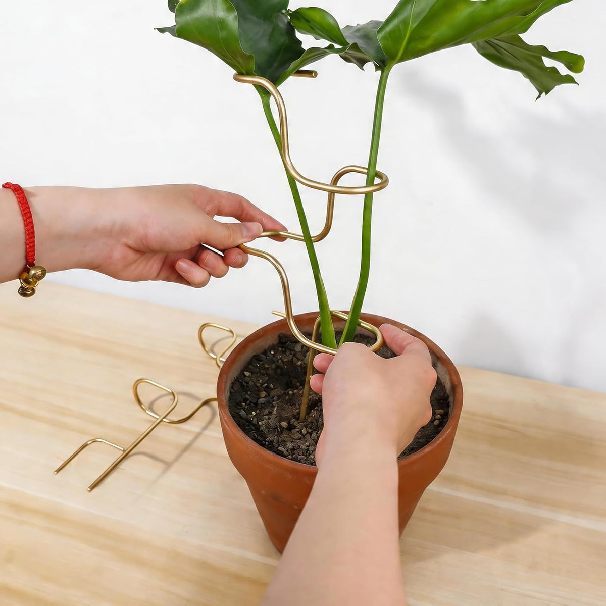 Plant Support Stakes - 3 Pack Durable Metal Trellis for Monstera