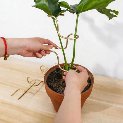 Plant Support Stakes - 3 Pack Durable Metal Trellis for Monstera