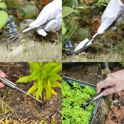 3-Piece Stainless Steel Garden Tools Set with Gloves- Shovel, Rake, Weeder for Indoor Outdoor Use, Ergonomic Handles for Succulents, Potted Plants & Seedlings