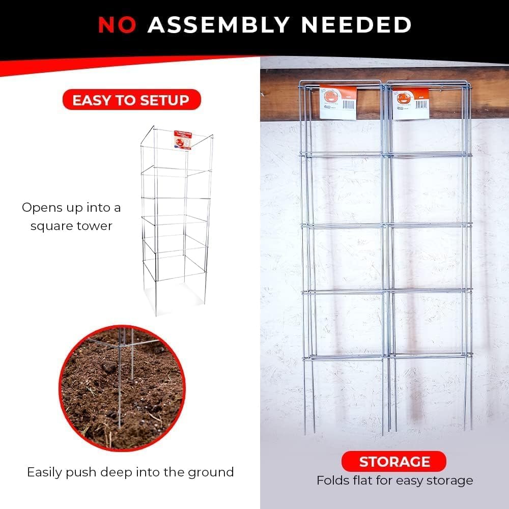 Cedar Ridge Square Foldable Tomato Cages - Made in USA Heavy Duty Plant Support for Vegetable Garden, Vegetables, and Flowers - Stakes and Trellis for Climbing Plants (13x56) 3-Pack