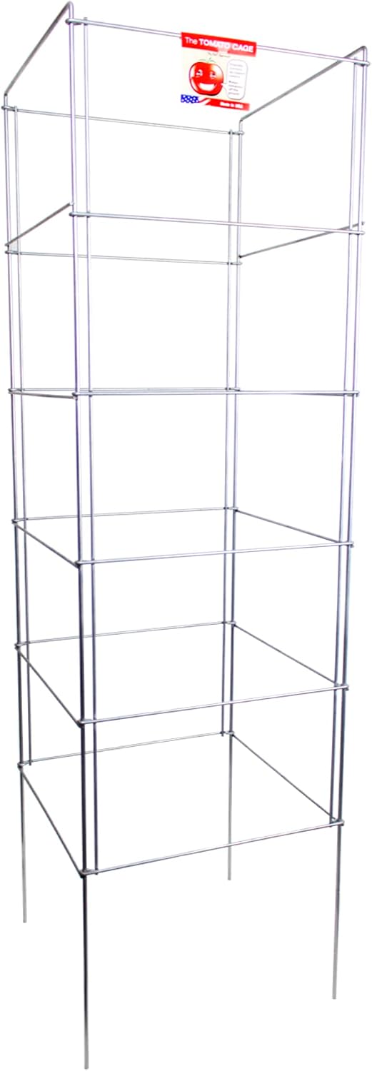 Cedar Ridge Square Foldable Tomato Cages - Made in USA Heavy Duty Plant Support for Vegetable Garden, Vegetables, and Flowers - Stakes and Trellis for Climbing Plants (13x56) 3-Pack