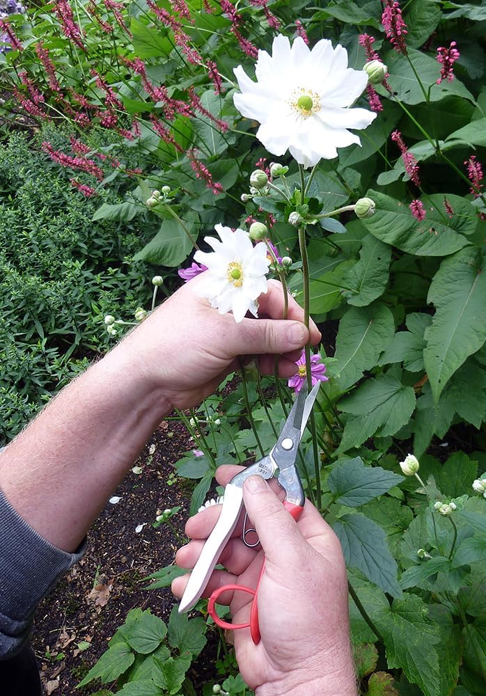 Bud Cutting Shears No. 304