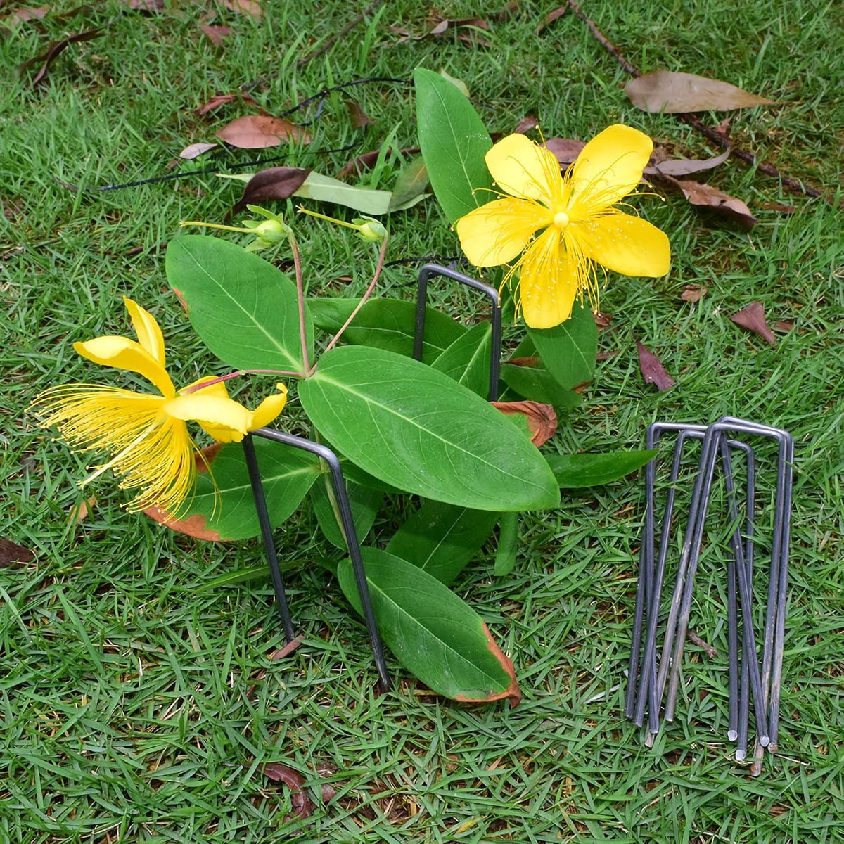 6" Galvanized Landscape Staples Garden Stakes Pins 24 Pack