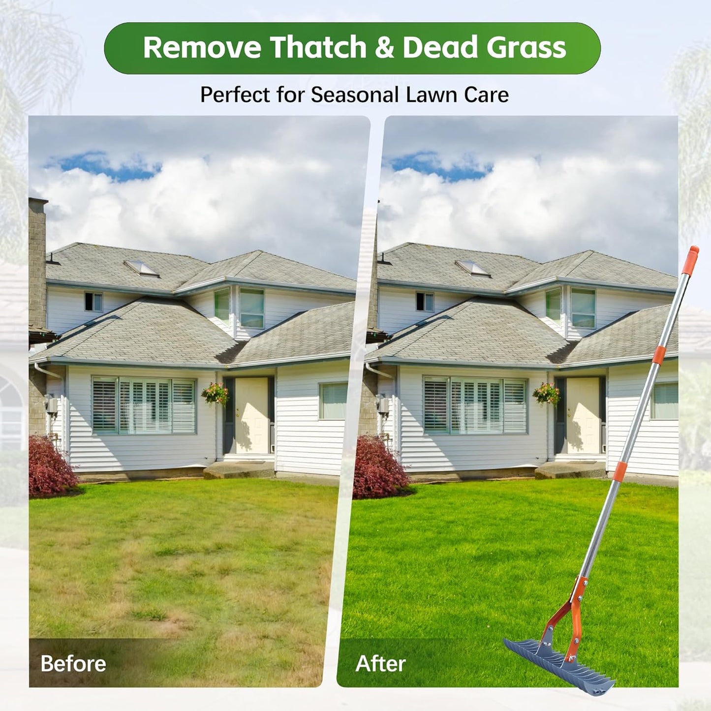 Thatch Rake – 74-Inch Heavy Duty Metal Rake with Hardened Steel Tines for Efficient Lawn Thatch and Dead Grass Removal, Detachable Handle Manual Dethatcher Rake for Yard and Landscape Maintenance