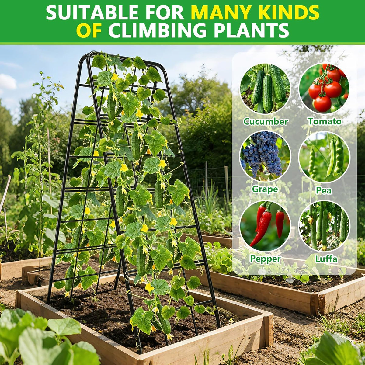 2 Pack 49"x16.3" Adjustable Garden Trellis, A Frame Cucumber Trellis