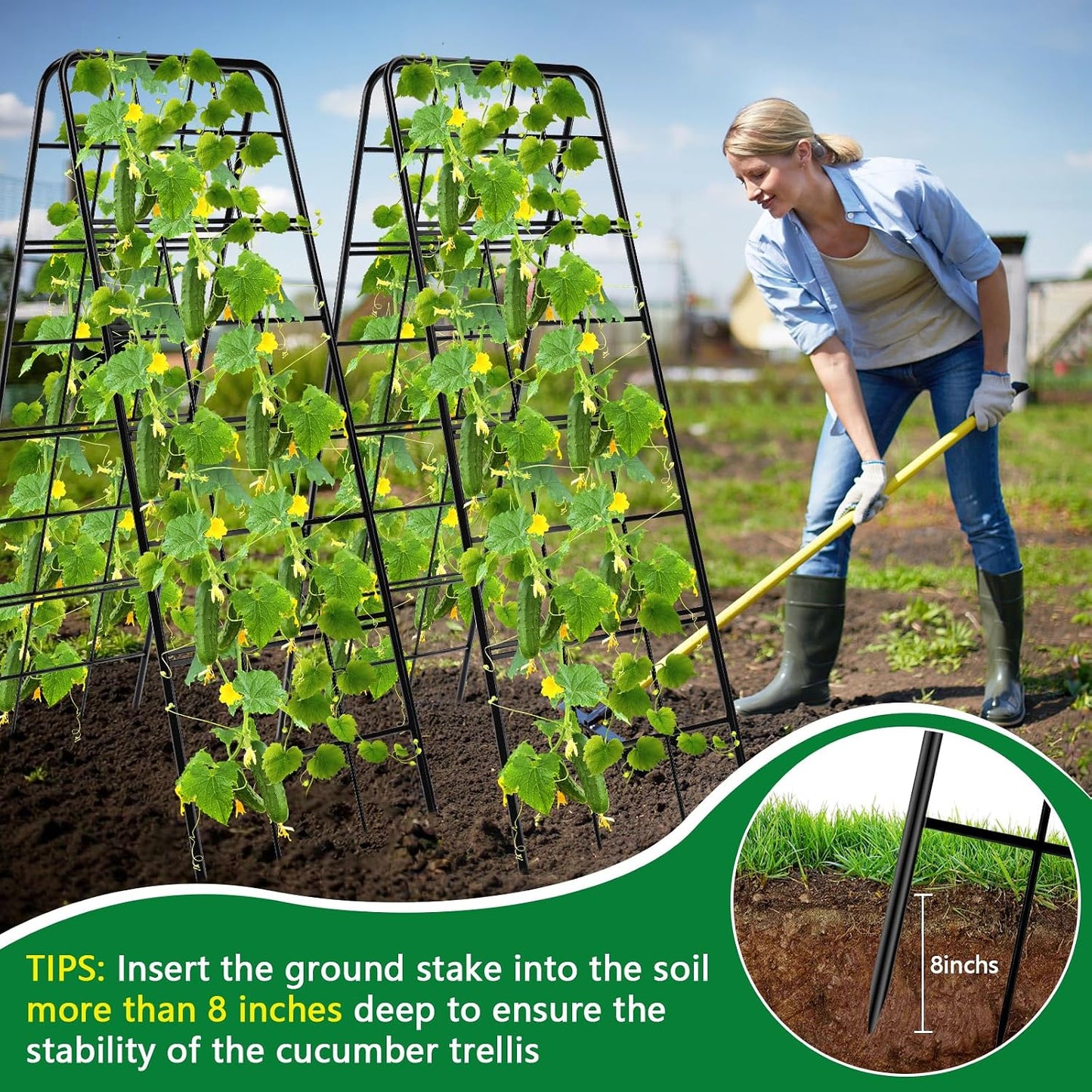 2 Pack 49"x16.3" Adjustable Garden Trellis, A Frame Cucumber Trellis