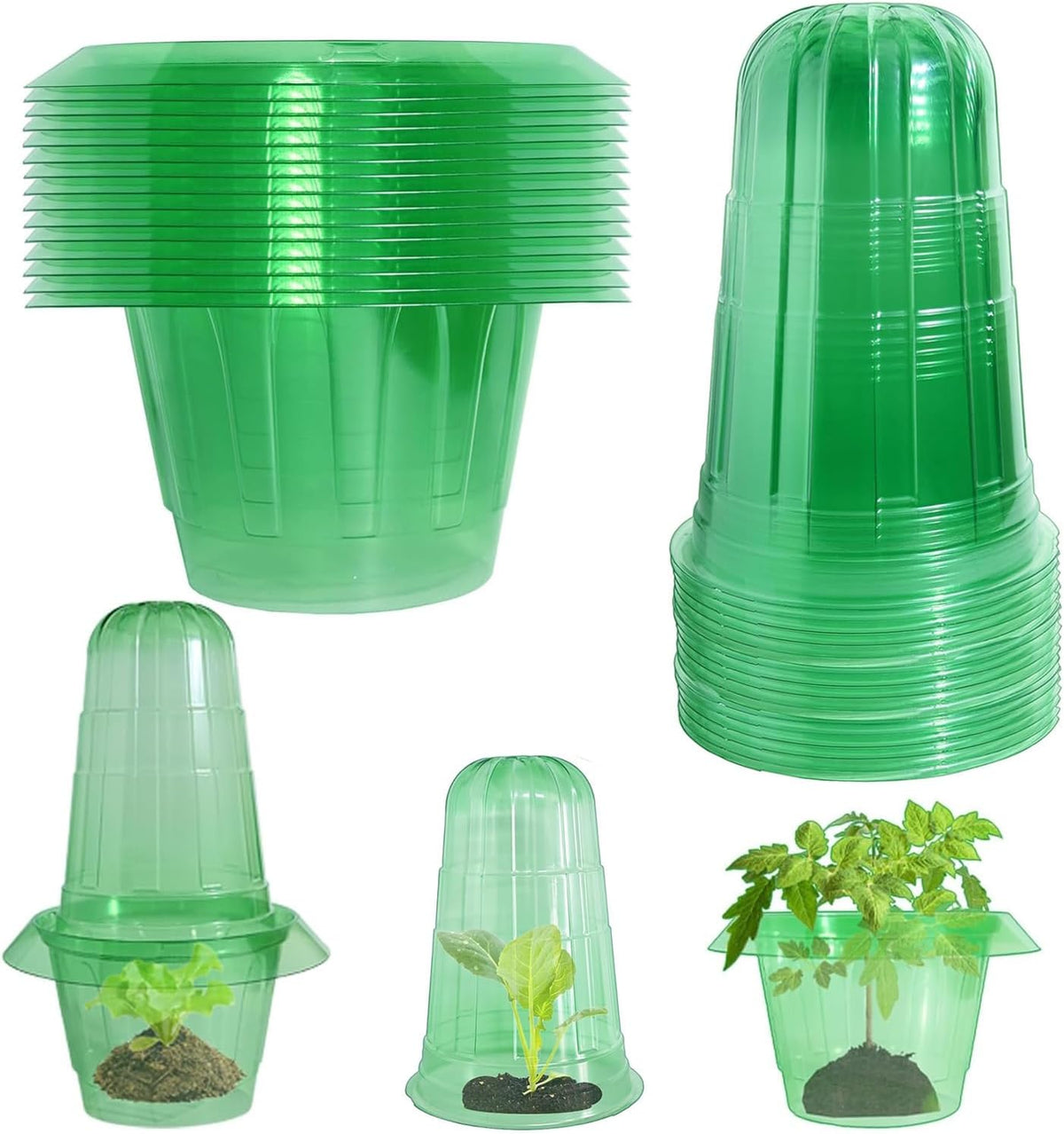 Slug Collars and Garden Cloches Set，Provides Effective Protection Against Snails for Your Salad Plants and Others Plants.(15 Pack)